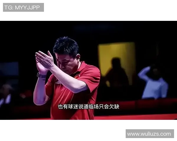 上海排球队个人能力引发热议球迷观点各异争论不断