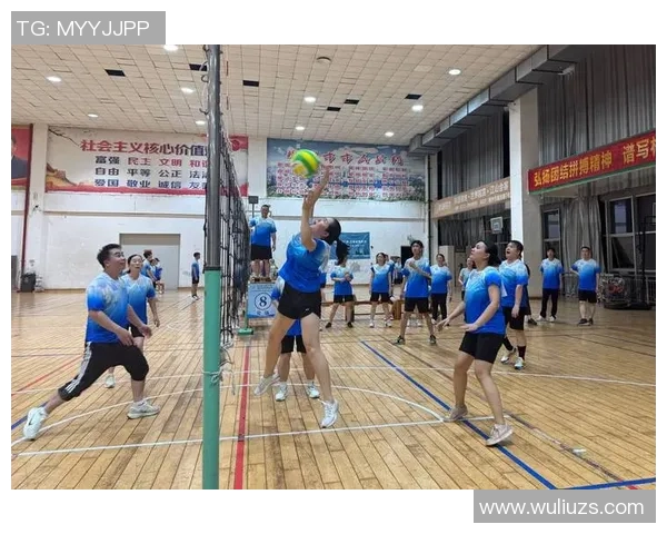 张娜的排球之路：从赛场拼搏到人生哲学的对话分享