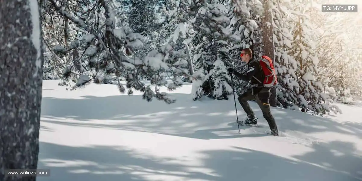 🎉 弹幕、解说、回放,直播乐趣不止于观看!